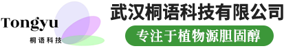 武汉桐语科技有限公司